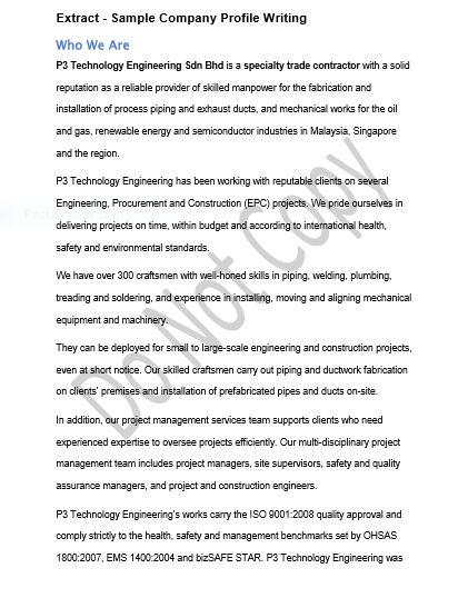 Company Profile - P3 Technology