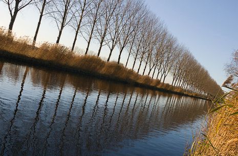 Freelance copywriter Singapore with diverse writing experience