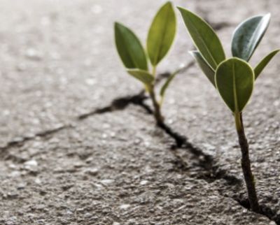 Online Article Writing on Health